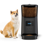 Pet feeder automatic