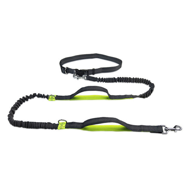 Harness Collar Jogging Adjustable Pet Leash Leash Leash