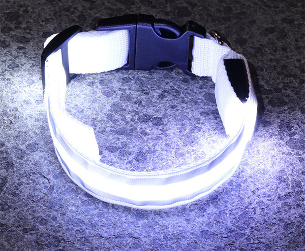 Anti-lost Led Luminous Dog Collar Pet Supplies